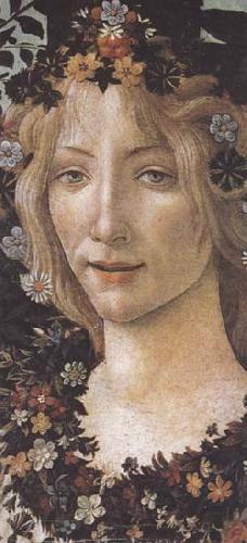 Sandro Botticelli Primavera Spain oil painting art